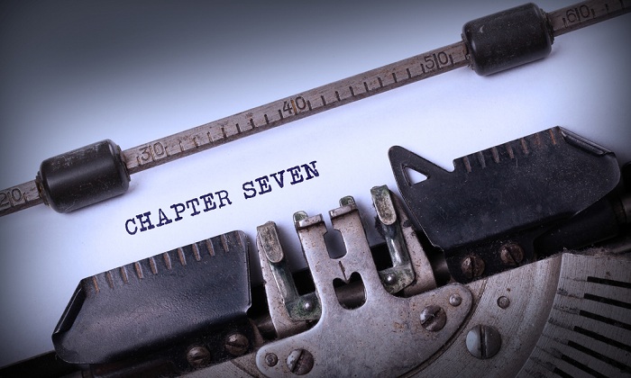 Chapter 7 Bankruptcy
