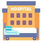 Hospital Beds per Capita