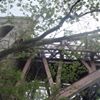 Photo of stacyl12