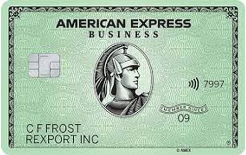 american express business green card