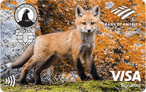 national wildlife federation credit card