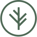Branch Insurance Avatar