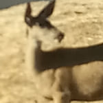 Photo of f92437wmd