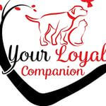 Photo of yourloyalcompanion4