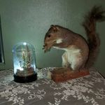 Photo of thefictionwelive2