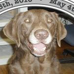 Photo of larryshelton