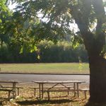 Photo of laniganvitaceae