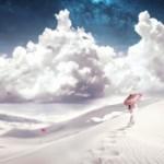 Photo of amandapanda2015