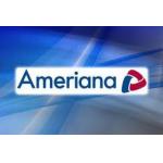 Ameriana Bank Avatar