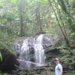 Photo of dave_brandt_9