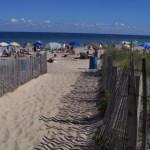 Photo of dcbeachbum