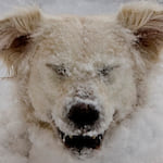 Photo of mijerseygirl