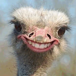 Photo of Z9CLINE9