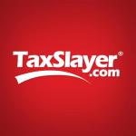 taxslayer_063013755511i.jpg