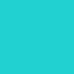 Photo of wisefox69