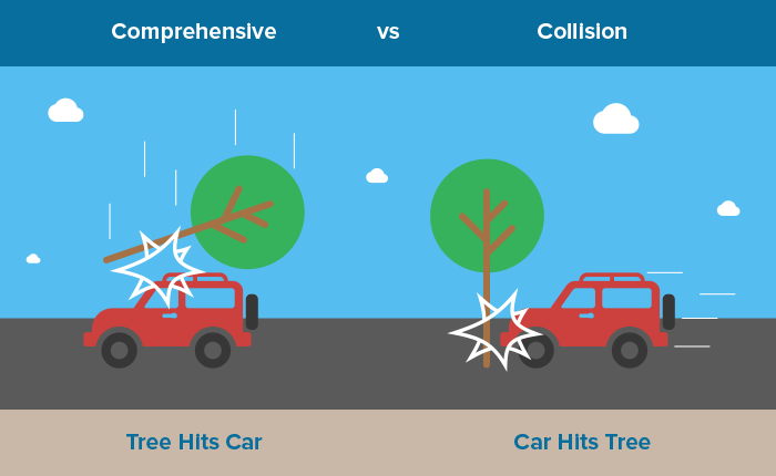 laws car insurance credit score vehicle insurance