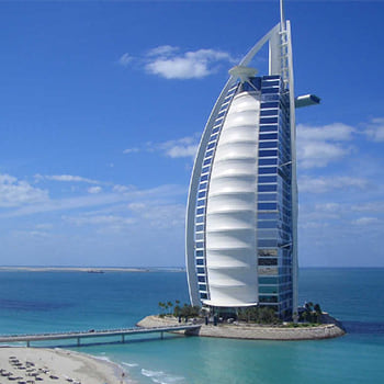 Photo of northernpinoak