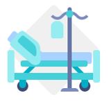 Hospital Beds per Capita