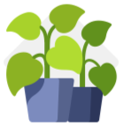 Vegetable Nurseries per Capita