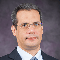 Nelson B. Villoria